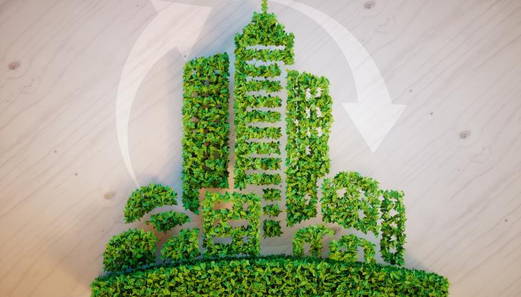 Sustainability